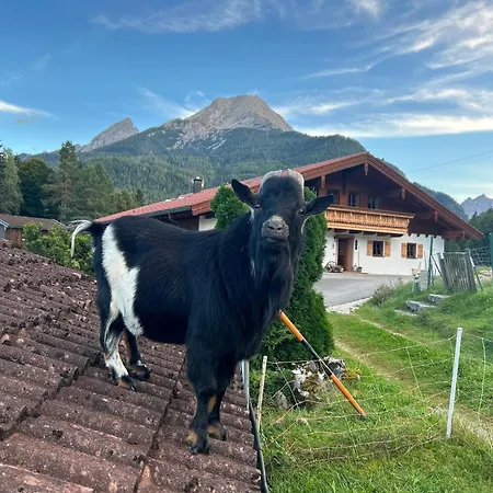 Pensjonat Auf'm Feggenlehen