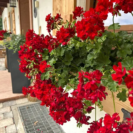 Auf'm Feggenlehen Guest house