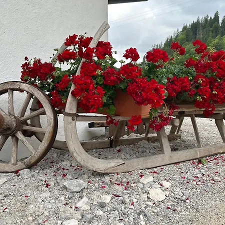 Auf'm Feggenlehen Guest house *