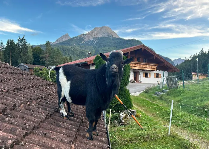 Penzion Auf'm Feggenlehen